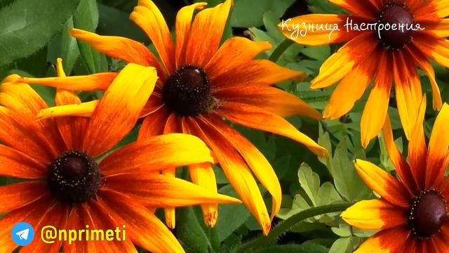 7 ноября народный праздник Дедовские Плачи. Что нельзя делать. Народные традиции и приметы.