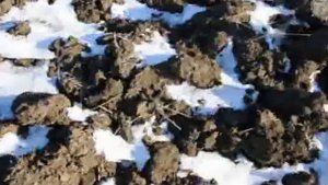 Найди самоцвет. Минерал Урала.