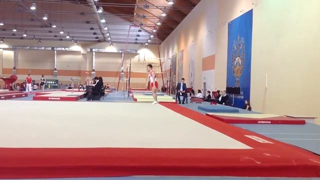 Гатиятов Шамиль - ПР 2013 FX (Финал) смотреть онлайн