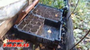 Как еще можно посадить тюльпаны и гиацинты на выгонку? Я сажаю так уже давно