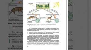 География 7к (Душина) §11 Закономерности географической оболочки