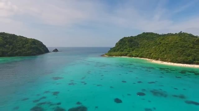 741Hz Cleanse Infections  Dissolve Toxins Aura Cleanse Boost Immune System Healing Meditation