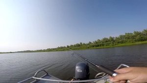 Джиговая проводка с рывком. Эпизод 1. Короткий рывок...