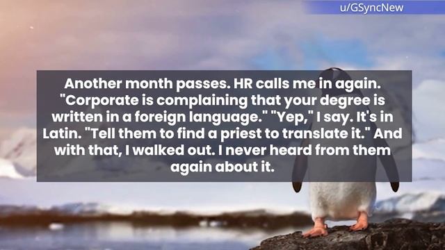 r/MaliciousCompliance This HR Department Has To Learn To Choose Your Words Wisely смотреть онлайн