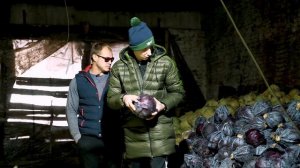 Капустное дело // Краснокачанные дивиденды