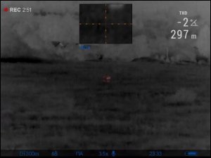 Tikka T3x .308, козел, выстрел на 300 метров Deer Hunting