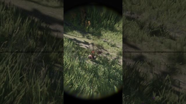 RDR 2 hunting