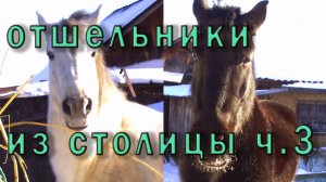 Отшельники - переселенцы из столицы. 3 часть