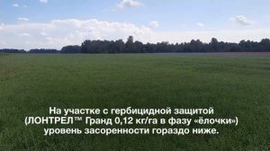 Гербициды на льне Барнаул