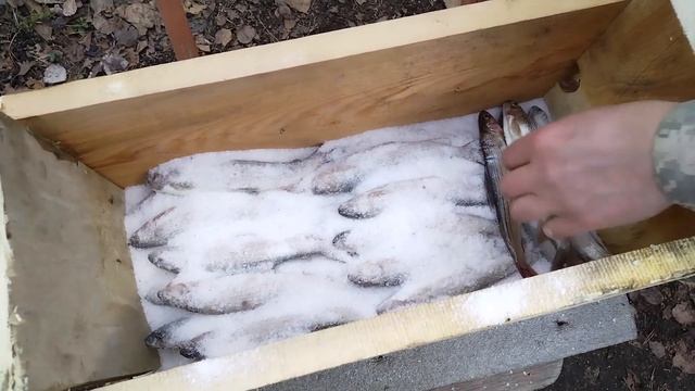 ВКУСНЕЙШИЙ ПОСОЛ ХАРИУСА - ПАЛЬЧИКИ ОБЛИЖЕШЬ ...