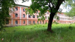 2 - 3-е августа. 2019.  Боровуха 1.