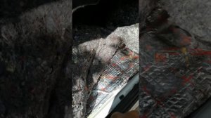 Калина Кросс - в салоне вода! Вода в салоне, как исправить!