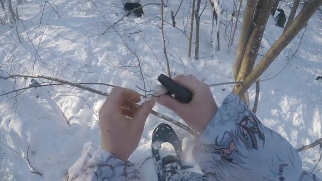 Охота с лайкой на куницу. На каждого хитреца... смотреть онлайн