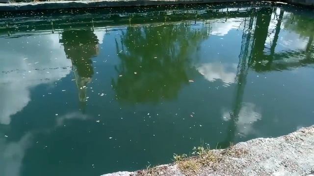 Ловля карася смотреть онлайн