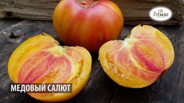 ЛУЧШИЕ СОРТА ТОМАТОВ СЕРИИ ВКУСНОТЕКА  / 7 семян