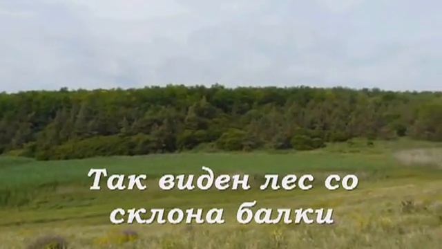 Щепкинская прогулка №1 смотреть онлайн