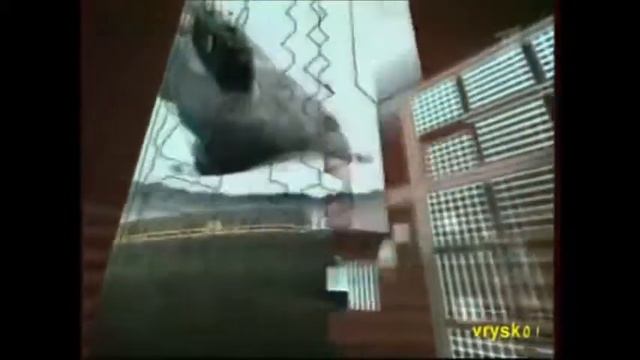 Человек и закон 1 смотреть онлайн