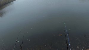 За САЗАНОМ в НОЯБРЕ. Как ловить КАРПА поздней осенью.