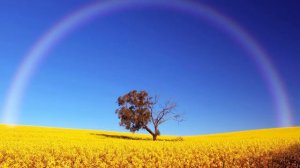 [1 Час] Целебная музыка для медитации на Тамбуру - Чакру Солнечного сплетения | Звуки Таанпуры