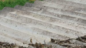 Чистка шифера антисептиком