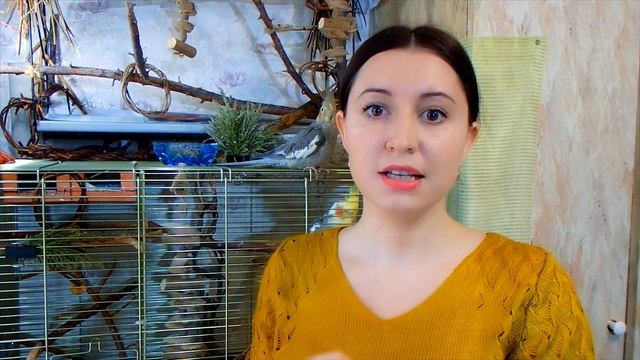 Какие веревки и нитки БЕЗОПАСНЫ ДЛЯ ПОПУГАЯ и можно использовать для игрушек и стенда.