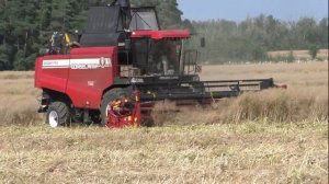 PALESSE GS 12 A1. GS 12. и GOMSELMASH GS12A1 PRO. Убирают Рапс
