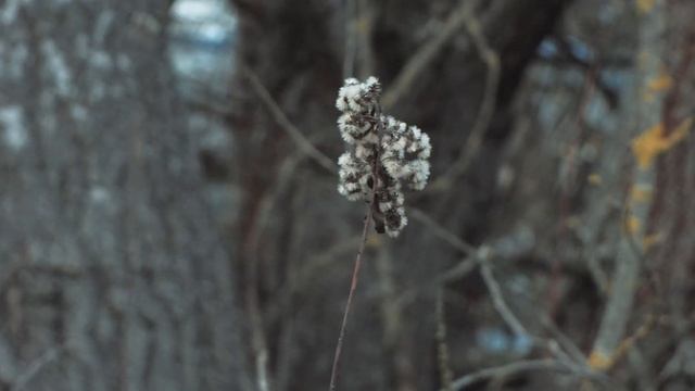 Gyorsteszt | BelOMO Triplet 69-3 4/40 (2023) смотреть онлайн