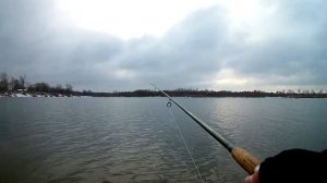 ЛОВЛЯ ОКУНЯ В КОНЦЕ ОКТЯБРЯ