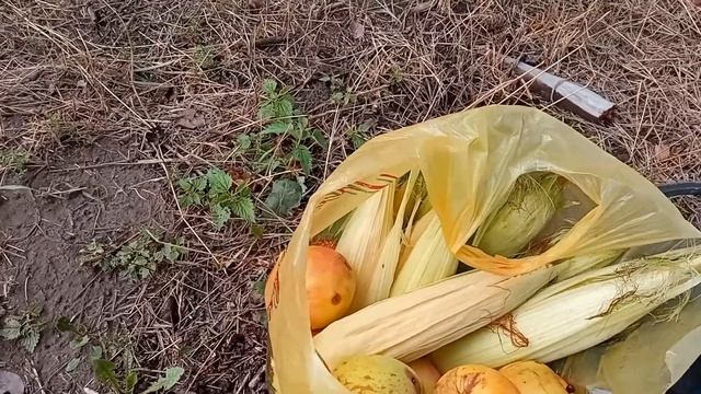 Ручной грядообразователь для клубники своими руками. смотреть онлайн