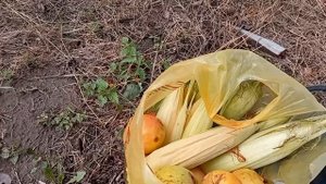 Ручной грядообразователь для клубники своими руками.