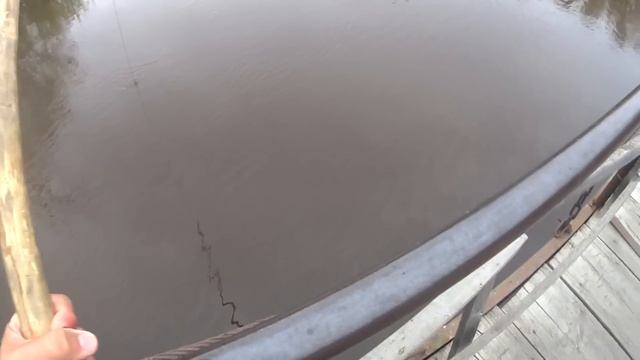 Стоило дать им по пауку, и я остался вне конкуренции... Рыбалка на паук-подъёмник 2022.
