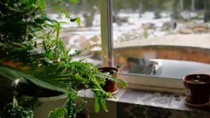 Зимний сад, оранжерея у дома - наш опыт.