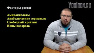 КАК РАСТУТ МЫШЦЫ НАУЧНЫЙ РАЗБОР