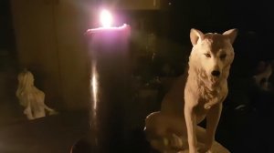 ВОЛЧЬЯ МОЛИТВА...ДЛЯ ВСЕХ... ВЕДЬМИНА ИЗБА ИНГА ХОСРОЕВА