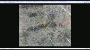 Влад Бахов. Анализ фотографии с дрона