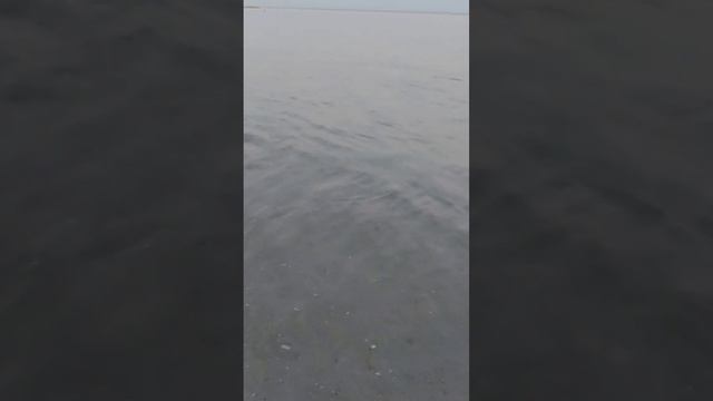 Закат на пляже"Лазурный берег.Море спокойное, очень прозрачное и чистое.  Вода 20 град.16 июля 2023