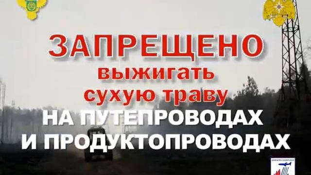 Берегите лес от пожара смотреть онлайн