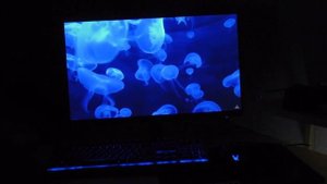Acer RG240Ybmiix Gaming Monitor - REVIEW
