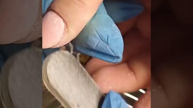 Маникюр задом на перед # безумное кол-во птеригия# вензеля #серебрянная кошка от born pretty смотреть онлайн