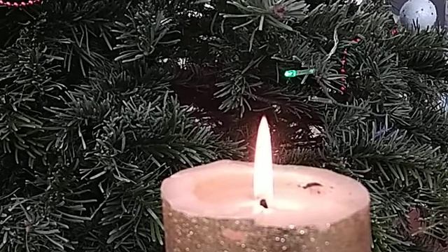 Синичкин календарь. Январь.