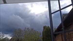 Ворона унесла Феликса