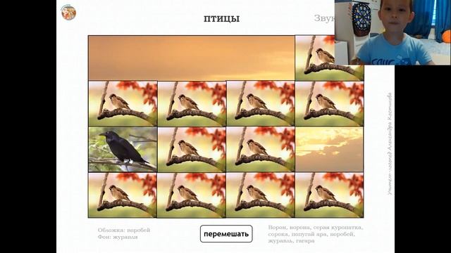 звук Р _ для дистанц.занятий игра МЕМОРИ_ тема ПТИЦЫ смотреть онлайн