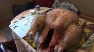 ??МЯСО??. ✅ Выращивание ИНДЮКОВ тяжелого кросса Хайбрид Конвертер!! Индейка без хлопот!