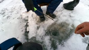 РЫБАЛКА. в Приморском крае. КРАСНОПЁРКА 14.02.2022.#ПРОСТАЯРЫБАЛКА