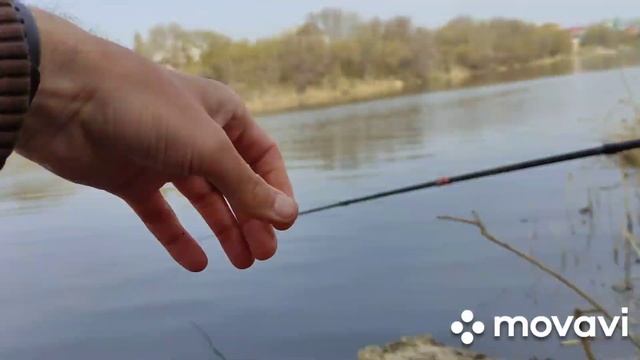 Плотва, сорожка,синьга в апреле, ловля на поплавок! смотреть онлайн