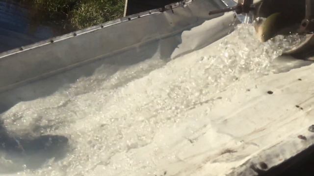 Зарыбление Форель 20.09.18 смотреть онлайн