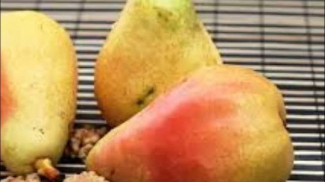 анекдот Дочка папа и груша смотреть онлайн