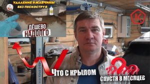 Что с крылом спустя 8 месяцев?