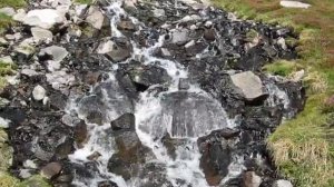 Squaw Creek Meadow Cascade Mount Shasta