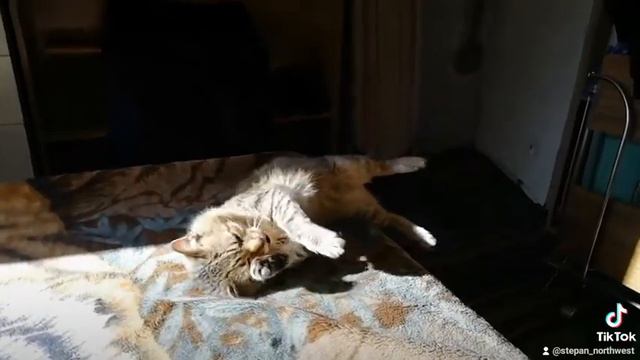 Все меня называют Ангел смотреть онлайн